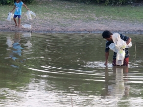 រូបលេខ៨