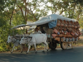 រូបលេខ៨