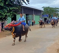 រូបលេខ១២