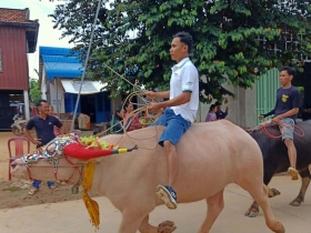 រូបលេខ១៤